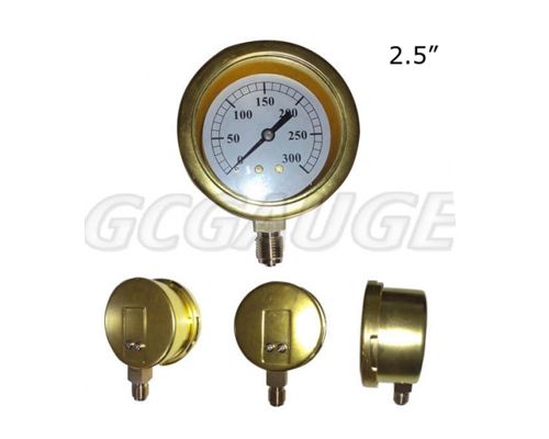 Brass steam pressure gauges with bottom connect...